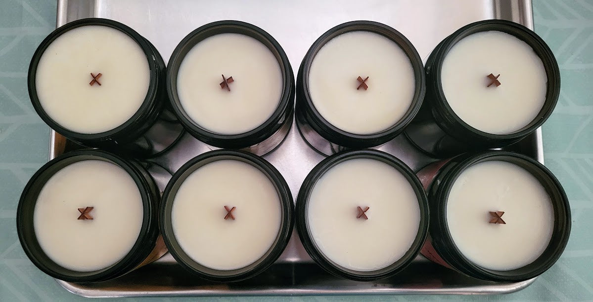 Trump- Limited Edition- Canyon Coconut